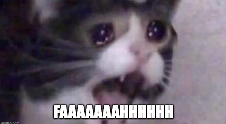 Screenshot 2026 02 19 at 12.51.37 Am