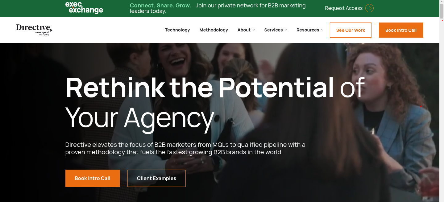 Directive Consluting